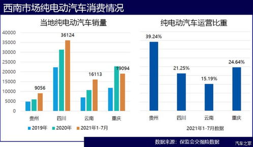 車展引爆西南市場新能源汽車消費 調查后我們發現了真相